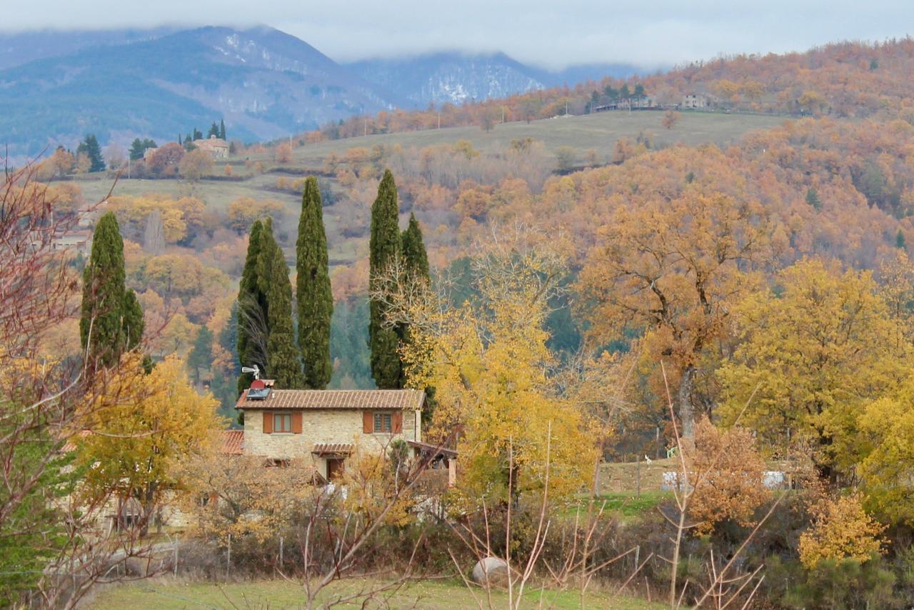 Agriturismo Mandrioli Pratovecchio Exterior foto
